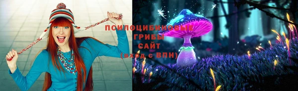 a pvp Нягань