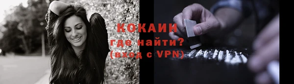 Альфа ПВП Няндома