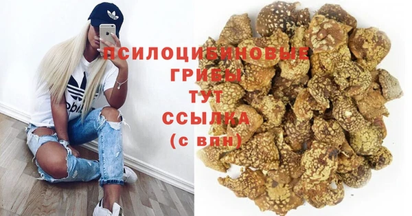 Альфа ПВП Няндома