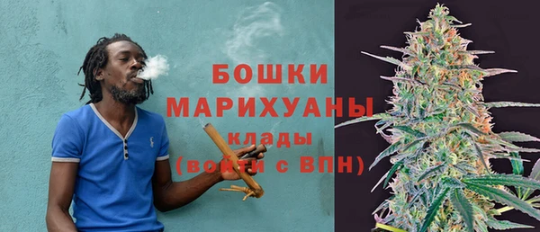 прущие грибы Осташков
