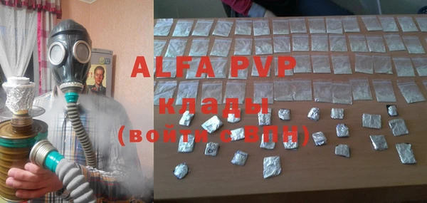 Альфа ПВП Няндома