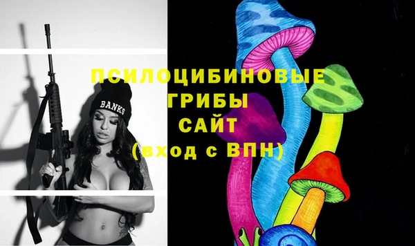 Альфа ПВП Няндома